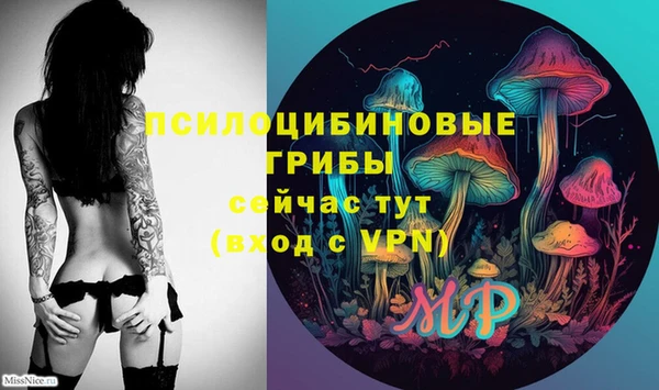 2c-b Богородицк