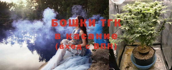 2c-b Богородицк