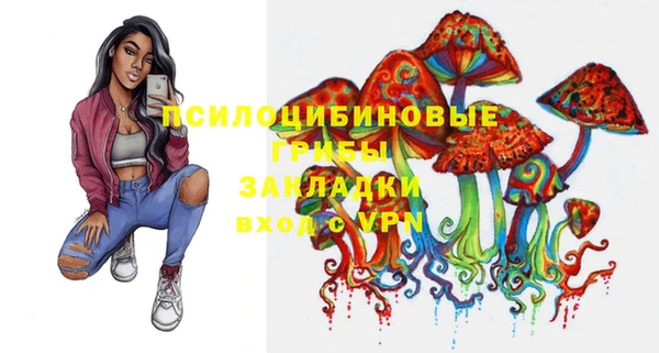 apvp Богородск